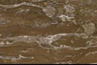 Chocolate Travertine.jpg